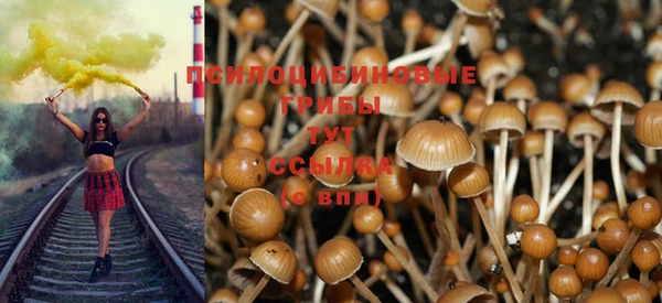 PSILOCYBIN Богородск