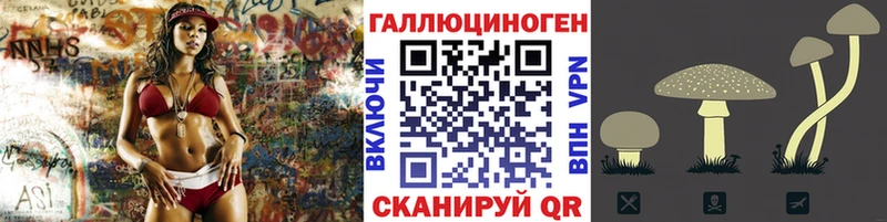 ОМГ ОМГ как войти  Ворсма  Галлюциногенные грибы MAGIC MUSHROOMS 